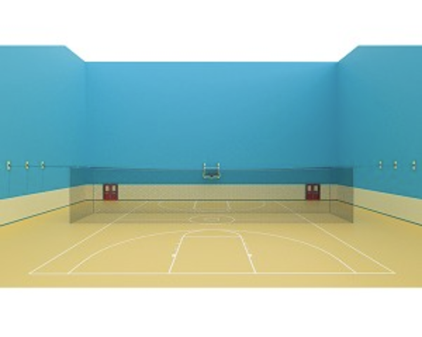 70 ft x 14 ft x 14 ft Indoor Batting Cage