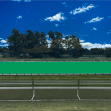 PEVO Covered Team Benches - Kelly Green - No Printing