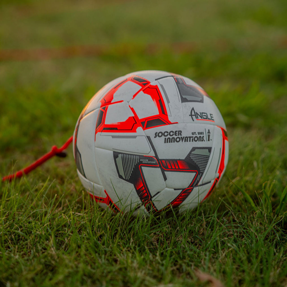 Soccer Goalkeeper Angle Ball