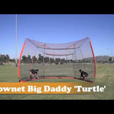 Big Daddy Turtle Moving Video