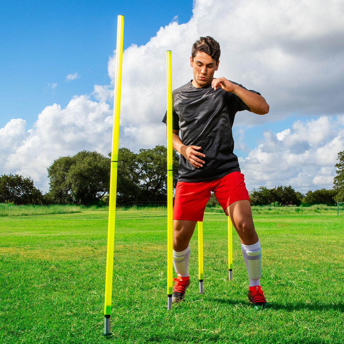 Outdoor Agility Poles with Runner