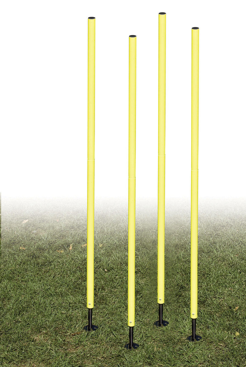 Outdoor Agility Poles